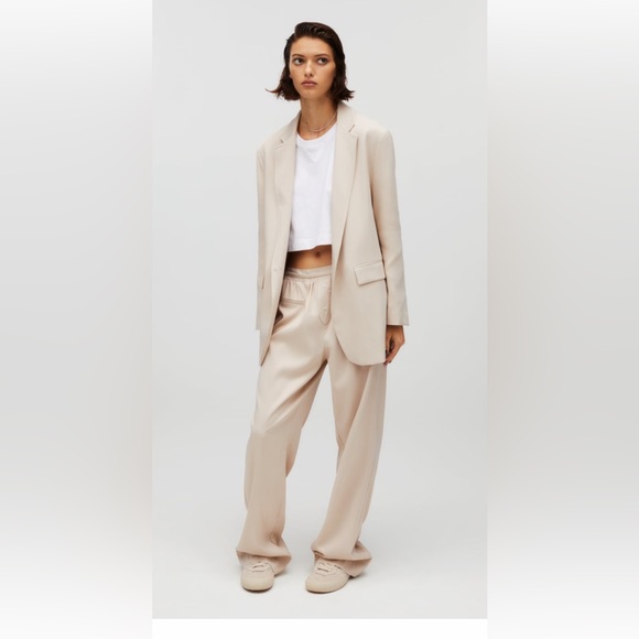 Zara Pants - ZARA satin pants (NWT)